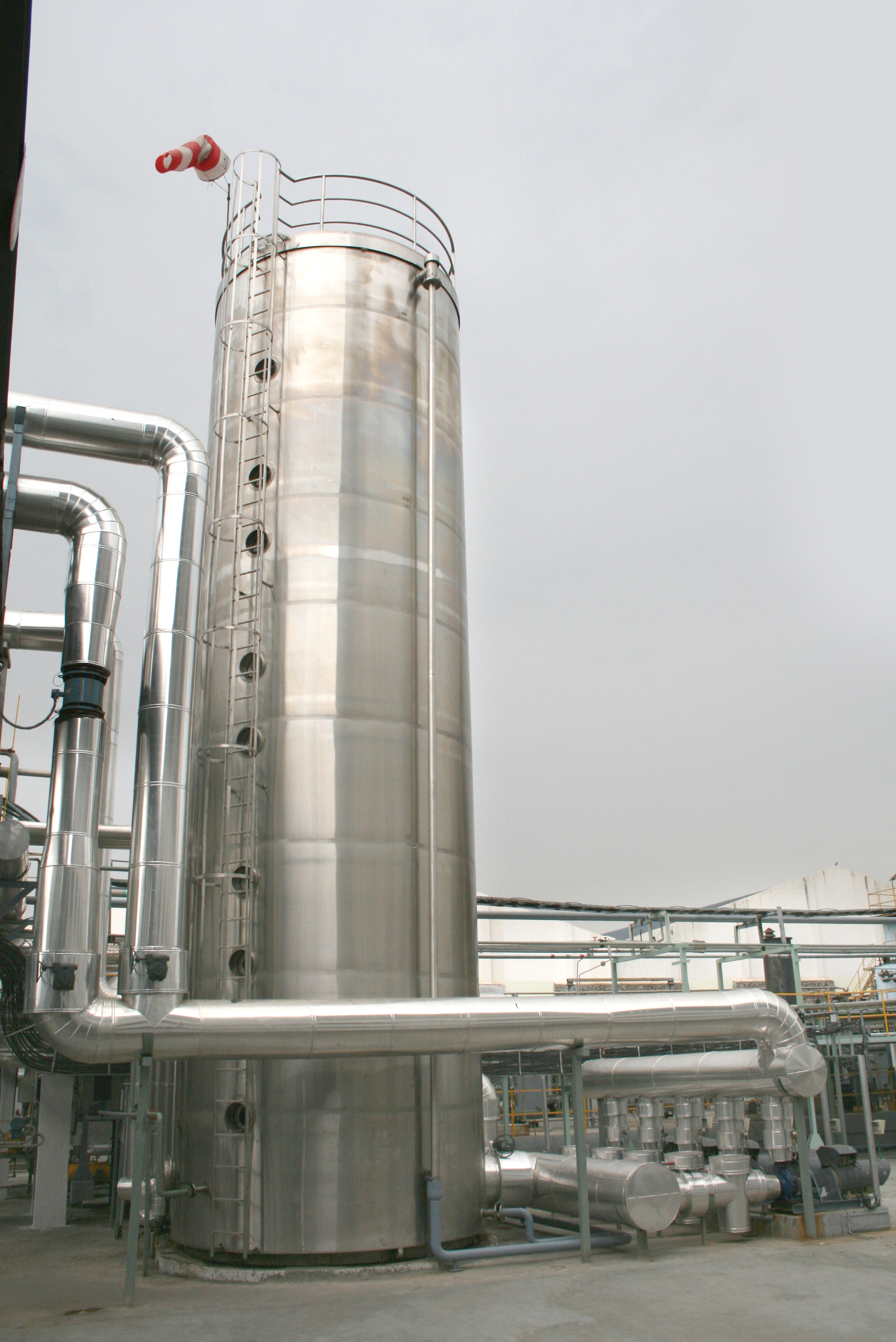 Extruded Films and Products