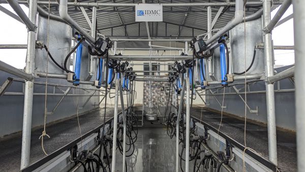 30° Herringbone Milking Parlour
